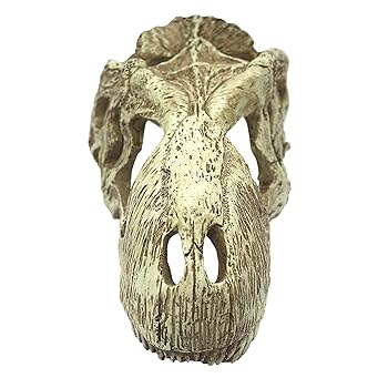 Komodo T-Rex Skull Reptile Hideout - Large, Realistic Terrarium & Aquarium Decoration