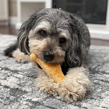 Fieldcrest Farms Nothin' to Hide 7" Beef Wishbone Dog Chews - 2 Pack Ultra Premium Rawhide Alternative