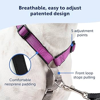 PetSafe 3in1 Dog Harness Plum Medium