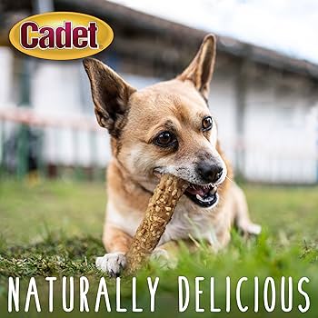 Cadet Smart Hide Rawhide Free Dog Chews - Chicken, Sweet Potato & Peanut, 2 Count