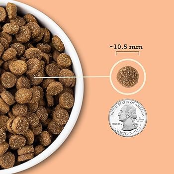 Acana Wholesome Grains Puppy Recipe, Dry Dog Food, Chicken, Eggs, Turkey, 4 lb