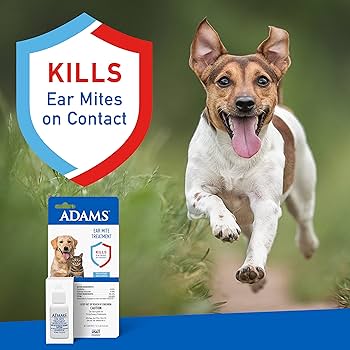 Adams Ear Mite Treatment for Dogs & Cats - 0.5 fl oz - Kills Mites & Soothes Irritation