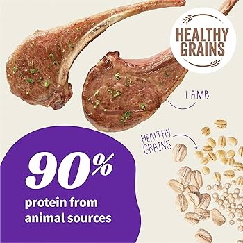 HALO Elevate Dog Food Lamb Recipe, Healthy Grains, Adult Kibble, 3.5 lb Bag