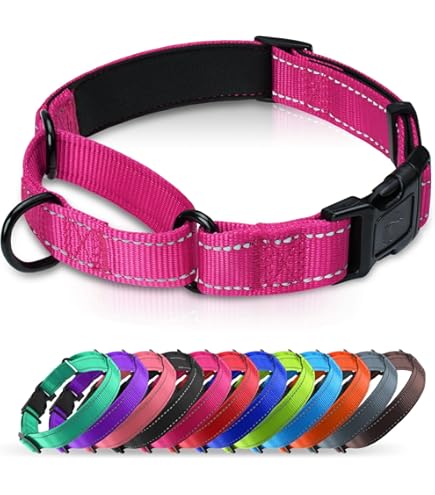 Coastal Pet No Slip Martingale Dog Collar with Buckle, Red, 3/8 in x 10-12 in