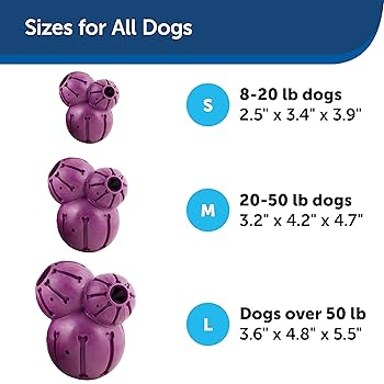 PetSafe Busy Buddy Barnacle Dog Toy, Medium, Treat Dispensing Chew Toy