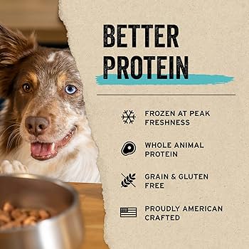 Vital Essentials Freeze-Dried Raw Duck Hearts Dog Treats - 10oz Single Ingredient High Protein