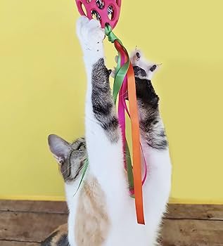 JW Pet Cataction Football with Streamers Cat Toy