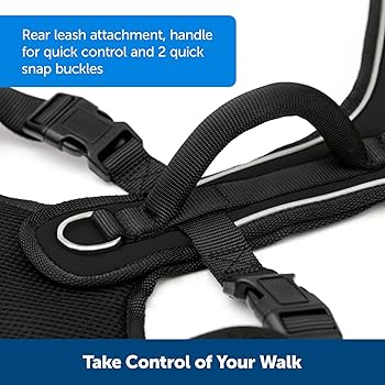 PetSafe EasySport Dog Harness - Small, Black - Comfortable Padded Harness