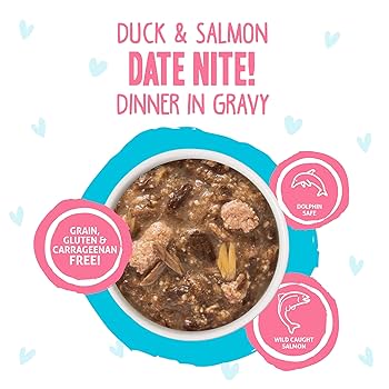 Weruva BFF OMG Date Nite Duck & Salmon in Gravy Wet Cat Food, 2.8 oz Pouch