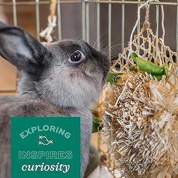 Oxbow Enriched Life Hay Forager - Small Animal Chew Toy & Enrichment