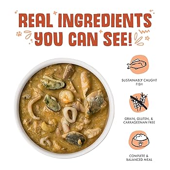 Weruva Classic Cat Marbella Paella, Mackerel, Shrimp & Mussels, Grain-Free Wet Cat Food, 3oz Can (Case of 24)