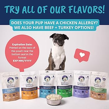 Under the Weather Bland Diet Chicken & Rice Dog Food with Electrolytes, 6 oz Pouch
