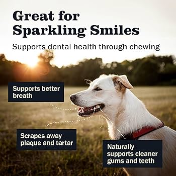 Redbarn Chew-A-Bulls Brush Dental Treats for Dogs, Large, 6 Count