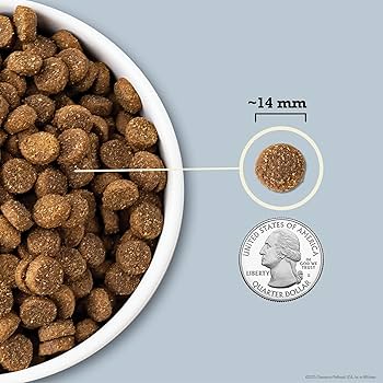 Acana Wholesome Grains Sea to Stream Dog Food, 22.5 lb - Fish & Grains Recipe
