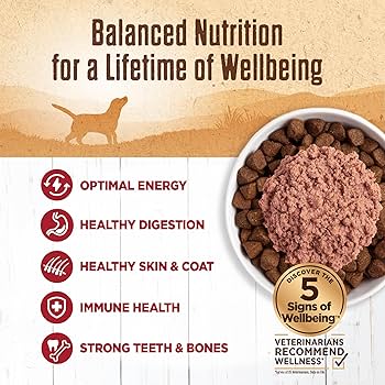Wellness 95% Beef Grain-Free Canned Dog Food, 13.2 oz Can (Single Can)