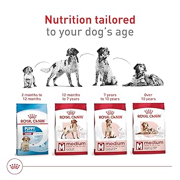 Royal Canin Medium Adult Dry Dog Food, Size Health Nutrition, 17 lb Bag