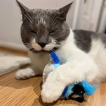 Ethical Pet Songbird Cat Toy with Catnip, 5 inch, Assorted Colors