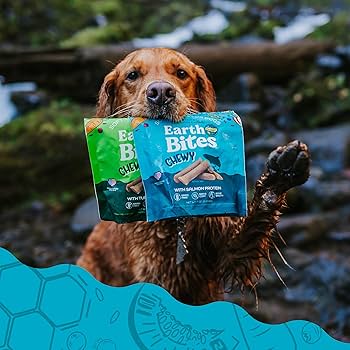 Earthborn Holistic EarthBites Grain Free Chewy Salmon Dog Treats, 7 oz