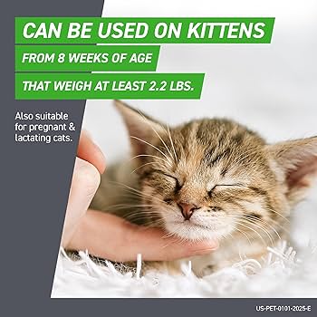 Frontline Plus Flea and Tick Treatment for Cats & Kittens, 3 Doses