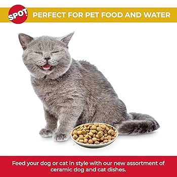 Spot Ethical Pet Best Friends Oval Cat Dish, 6 inch, Ceramic, Whisker Friendly