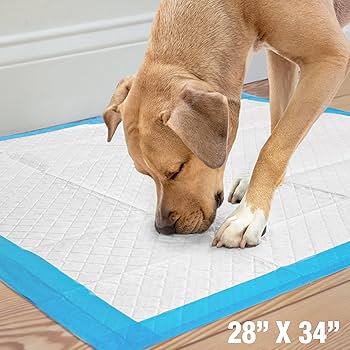 Four Paws Wee-Wee XL Dog Pads 28x34" 21 Count - Superior Performance, Unscented, Leak-Proof Training Pads