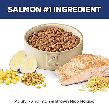 Hill's Science Diet Adult 1-6 Salmon & Brown Rice Dry Cat Food, 6.5 lb Bag
