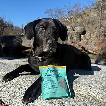 Jiminy's Original Cricket Cookie Dog Treats, 5 oz - Sustainable & High Protein