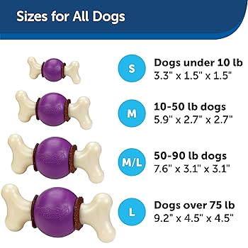 PetSafe Busy Buddy Bouncy Bone Dog Toy - Medium - Treat Holding Chew Toy