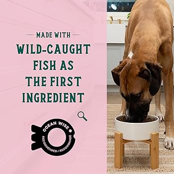Open Farm Goodbowl Salmon & Brown Rice Recipe, Dry Dog Food, 22 lb Bag