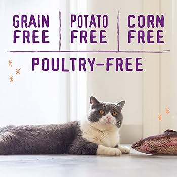 Stella & Chewy's Raw Blend Premium Kibble Cat Food - Wild Caught Fish Recipe - 5 lb Bag