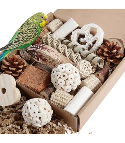 Prevue Hendryx Preen & Pacify Tropical Teasers Shells and Sticks Bird Toy