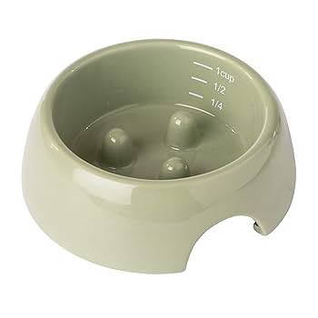 Oxbow Enriched Life Forage Bowl - Small Animal Feeding Bowl