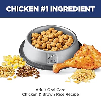 Hill's Science Diet Adult Oral Care Chicken Recipe Dry Cat Food 3.5lb