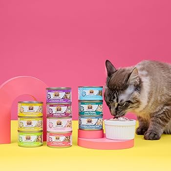 Weruva Cat Asian Fusion Tuna & Shirasu in Gravy Wet Food, 5.5 oz Can