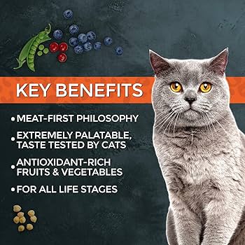 Fussie Cat Market Fresh Turkey Formula Dry Cat Food, 10 lb Bag, Grain-Free