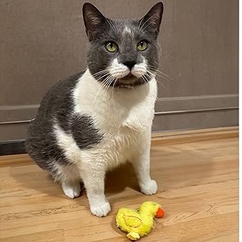 Ethical Pet Love The Earth Barnyard Bird Cat Toy - 4" Assorted Recycled Plush Catnip Toy