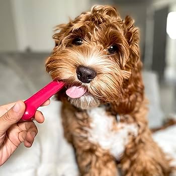 Nylabone DuraChew Regular Dog Chew Bones - Red, White & Blue - 3 Pack