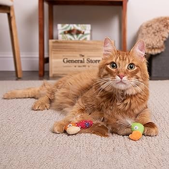 SmartyKat Instincts Love Mates Cat Toys - 2 Pack Feathery Plush Birds with Catnip & Silvervine