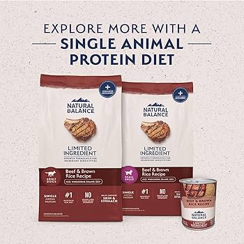 Natural Balance L.I.D. Limited Ingredient Diet Adult Dry Dog Food, Beef & Brown Rice Recipe, 24 lb
