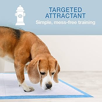 Four Paws Wee Wee Puppy Pads, 10 Count, 22 x 23 Inches, Standard Absorbent Training Pads for Dogs