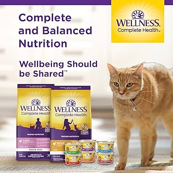 Wellness Complete Health Grain-Free Indoor Healthy Weight Chicken Recipe Dry Cat Food - 5.5 lb Bag