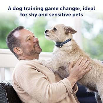 PetSafe 100 Yard Lite Remote Trainer - Dog Training Collar with Tone, Vibration, & Static Stimulation