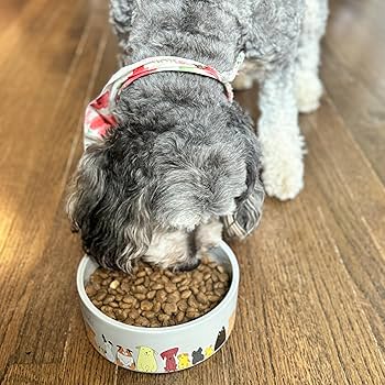 Ethical Pet Spot Best Friends Dog Dish - 7 inch Ceramic Bowl