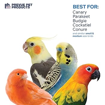 Prevue Pet Products 62636 Calypso Creations Over The Rainbow Bird Toy, Multi, Medium