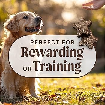 Merrick Power Bites Salmon Recipe Dog Treats, 6 oz - Grain Free, Soft & Chewy