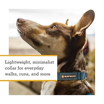 Ruffwear Hi & Light Dog Collar, Ultralight Reflective Collar, Alpenglow Pink, 14-20"