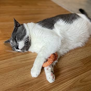 Ethical Pet SPOT American Take-Out Cat Toy 2-Pack - Assorted Styles, Catnip & Silvervine Blend