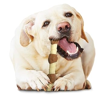Nylabone Dura Power Chew Kabob Giant Chicken Jerky Flavor, Large/Giant Dog Toy Up to 50 lbs