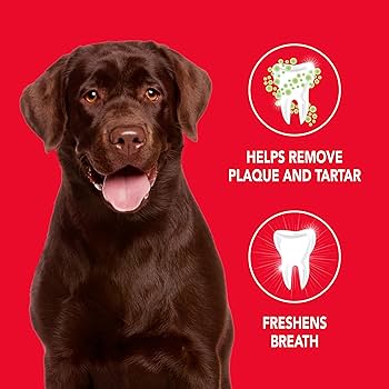 Petrodex Enzymatic Toothpaste for Dogs & Cats - Poultry Flavor - 2.5 oz