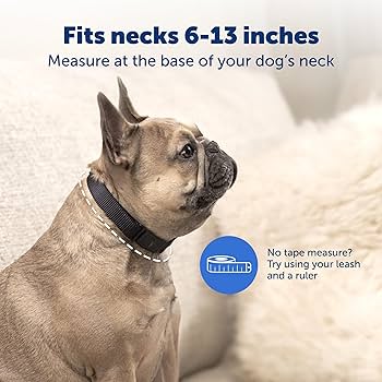 PetSafe NanoBark Collar - Small Dog Bark Collar
